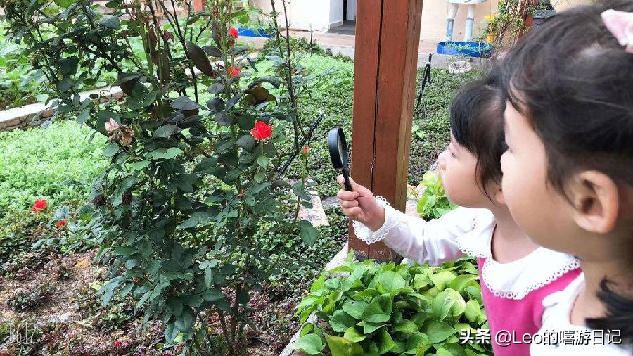 让孩子体验农耕生活的地方,儿童农耕生活体验