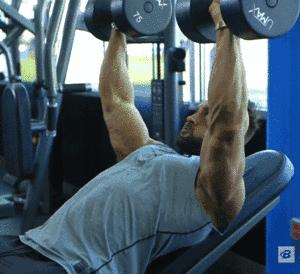 练胸肌最好6个动作,练胸肌最好的6个动作家庭版