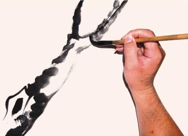 国画花枝穿插技巧图解,国画花枝的简单教程