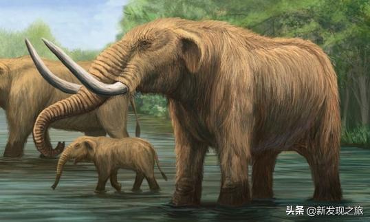 生物进化史最具代表的事件,生物进化史的意义