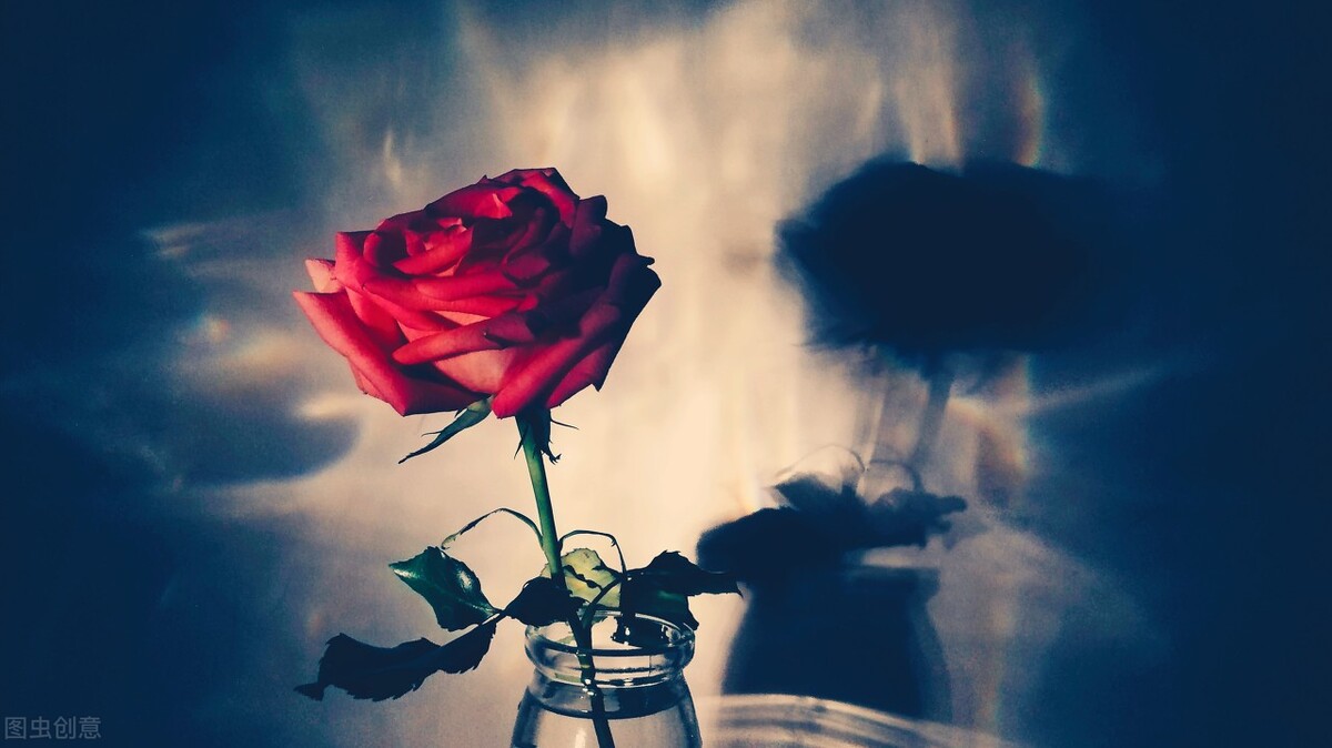 被前男友骚扰如何回应,被前男友诋毁如何回击