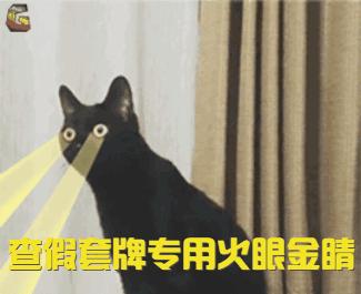 一个月查698宗交通违法,假牌上路被交警抓