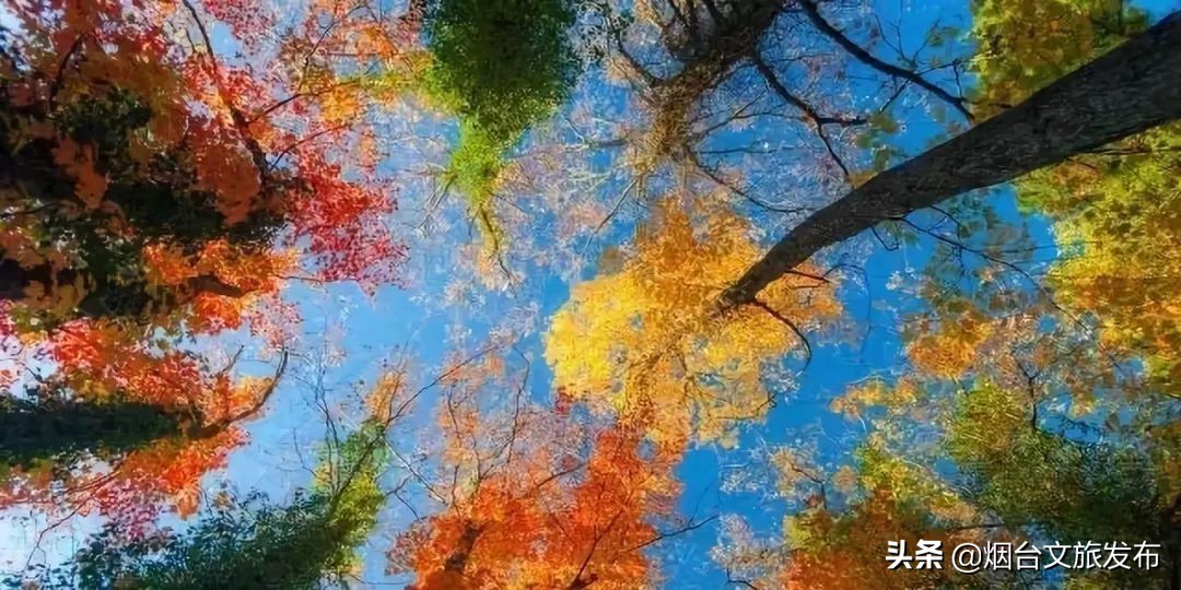 蓬莱的海边风景,蓬莱仙境的景色非常迷人