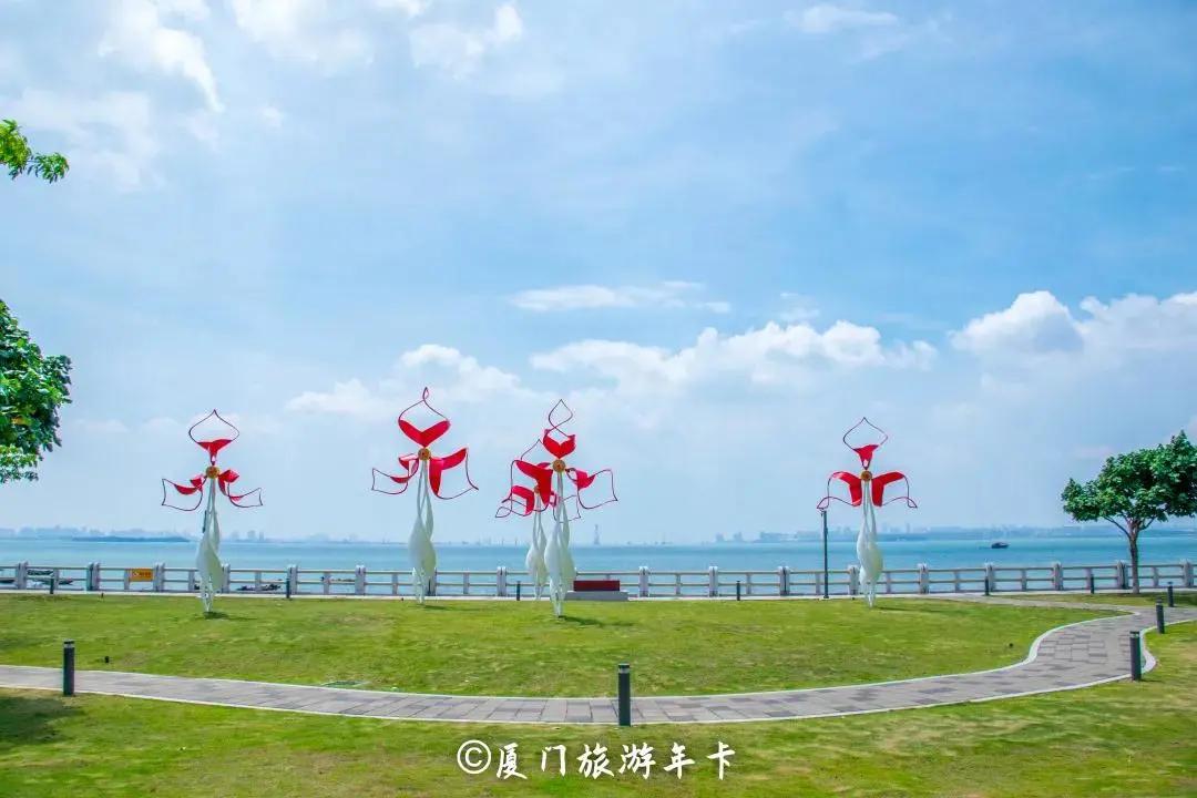 直奔厦门,厦门夏日旅行攻略