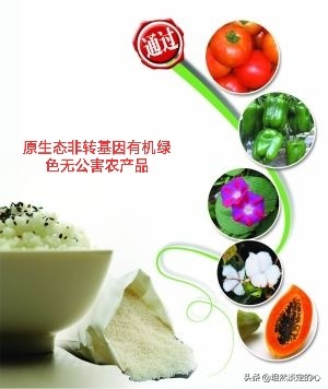 转基因和非转基因食品的标志,怎么区分非转基因农作物