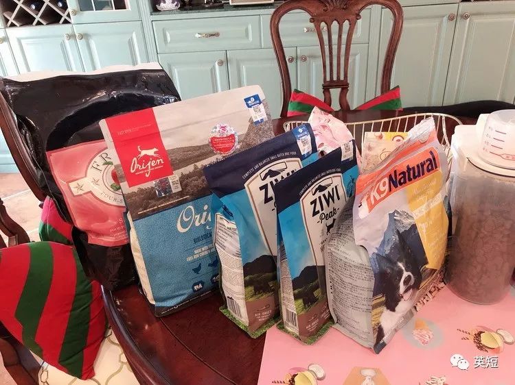 养猫干货整理,养猫必备清单之猫零食