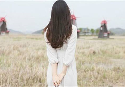 白茶清欢无别事温柔只留给意中人,白茶清欢邀明月