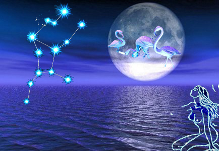 处女座的男人：最基本的人格，情操，思维等特质