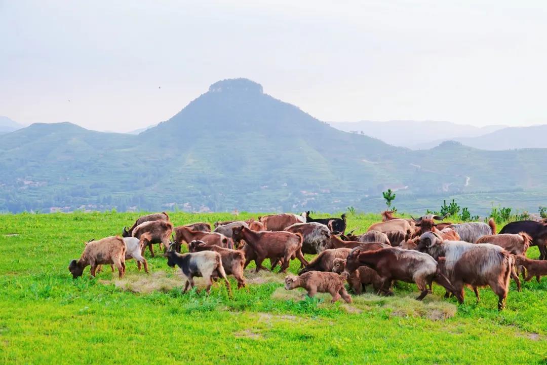山东沂蒙山峡谷,沂蒙山区深山处