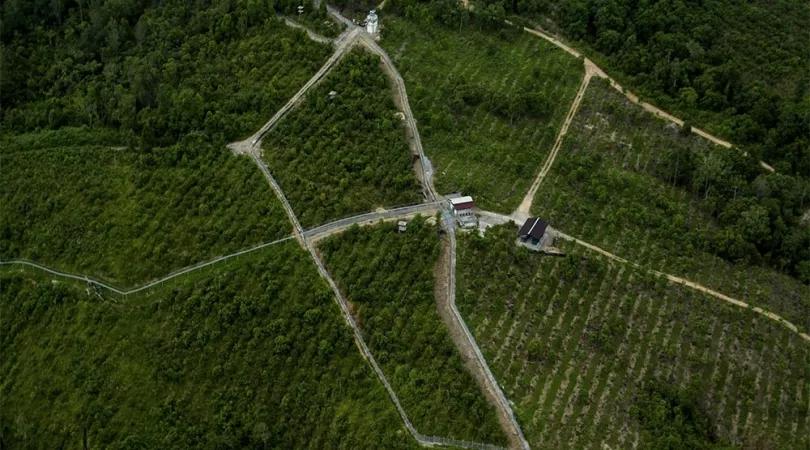 名校动态|看宾大景观系师生如何探索50年来的自然景观设计变迁