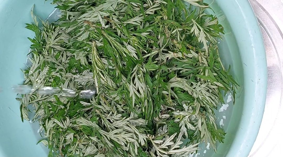 艾草的作用和功能主治,艾草的作用与功效艾叶的用法