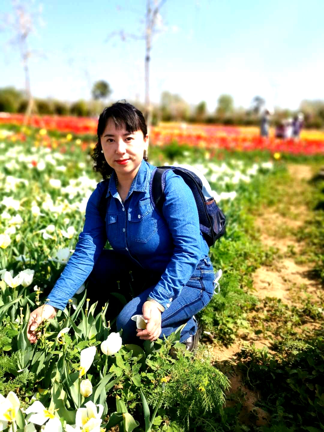 许昌建设路小学教师名单,许昌市建设路小学教师