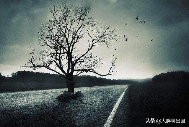 想在异国他乡留学,想国外打工