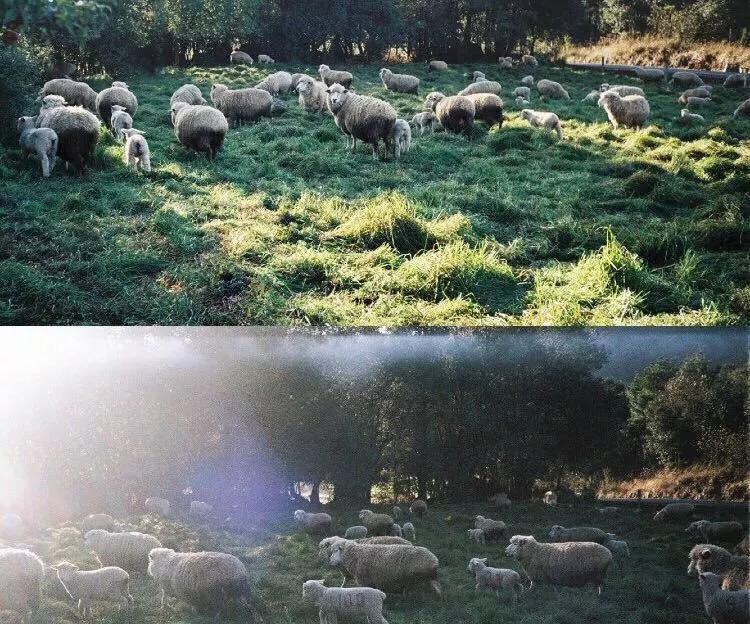 五一昆明周边游适合孩子玩的地方,昆明五一旅游景点攻略自由行