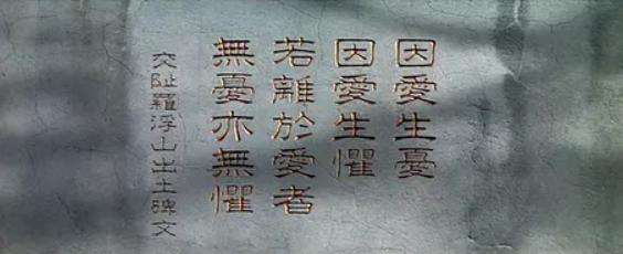 被骂了20年的电影,被骂烂的9部电影