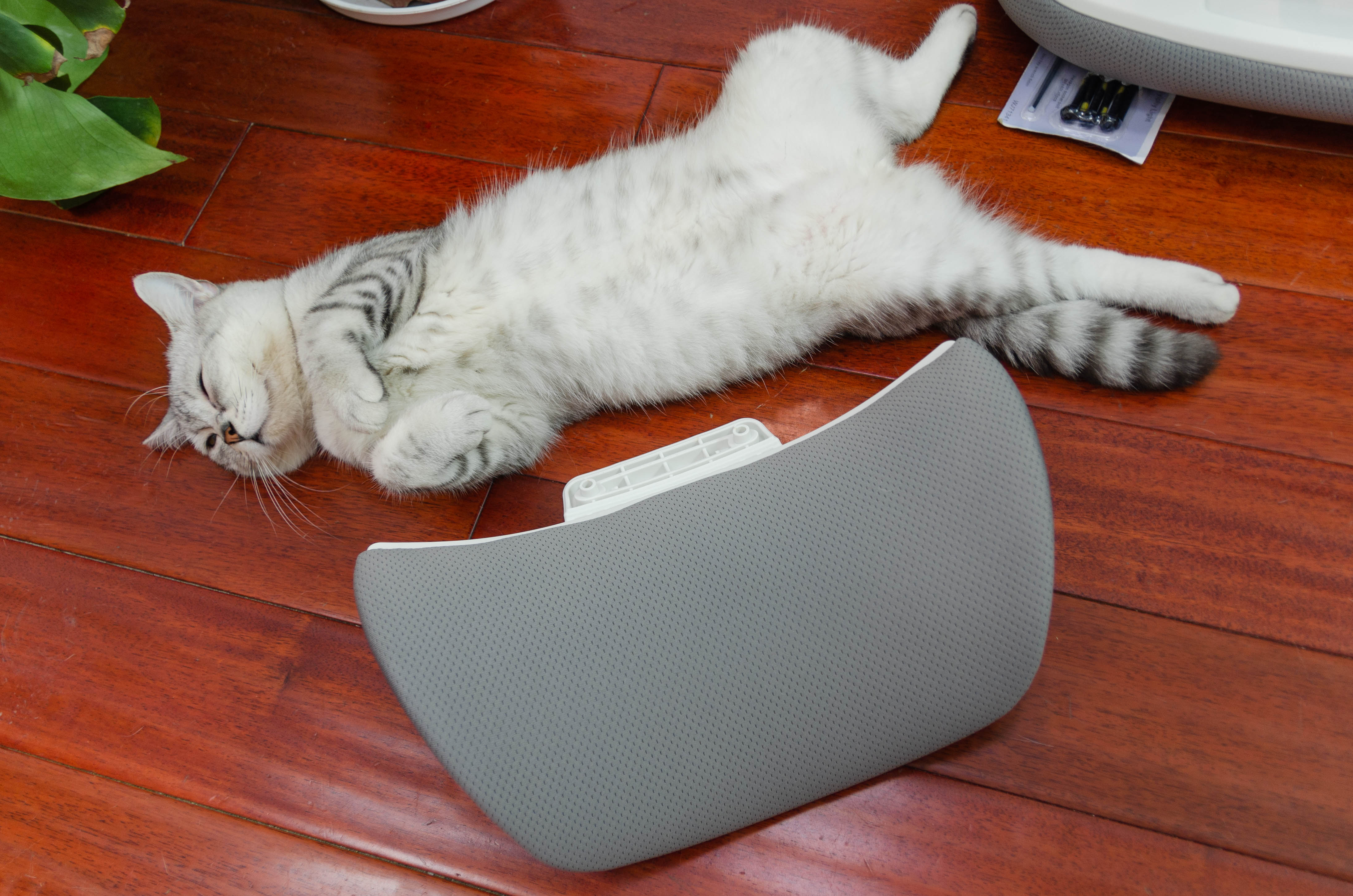 不花冤枉钱,不花冤枉钱性价比高