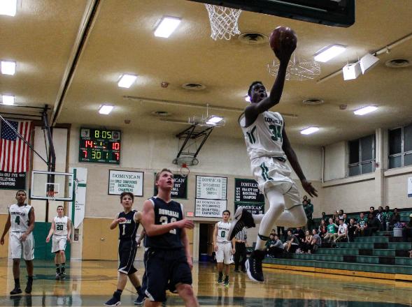 青出于蓝陶大宇,字母哥阿德托昆博18-19集锦