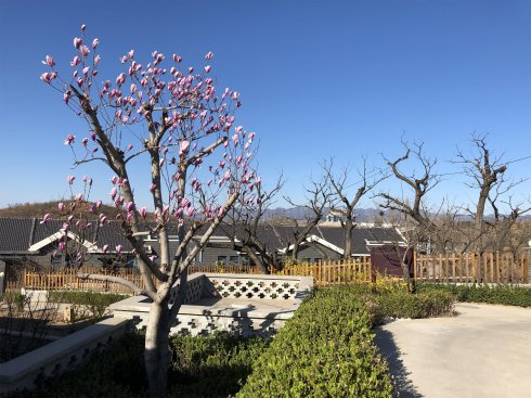 遵化福泉宫温泉度假村,遵化福泉温泉门票团购