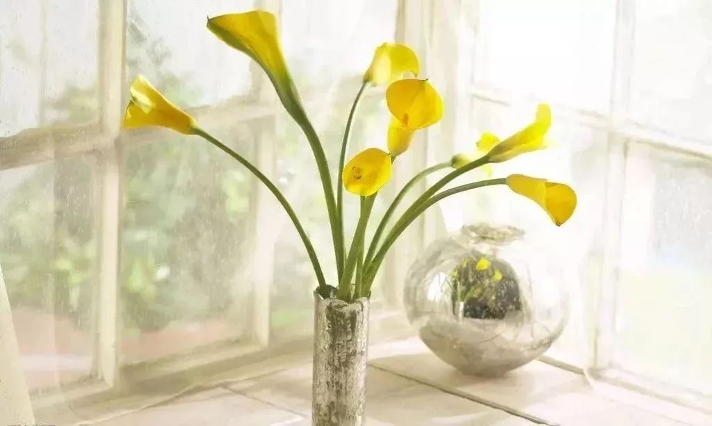 太辣了怎么解辣,太辣怎么办