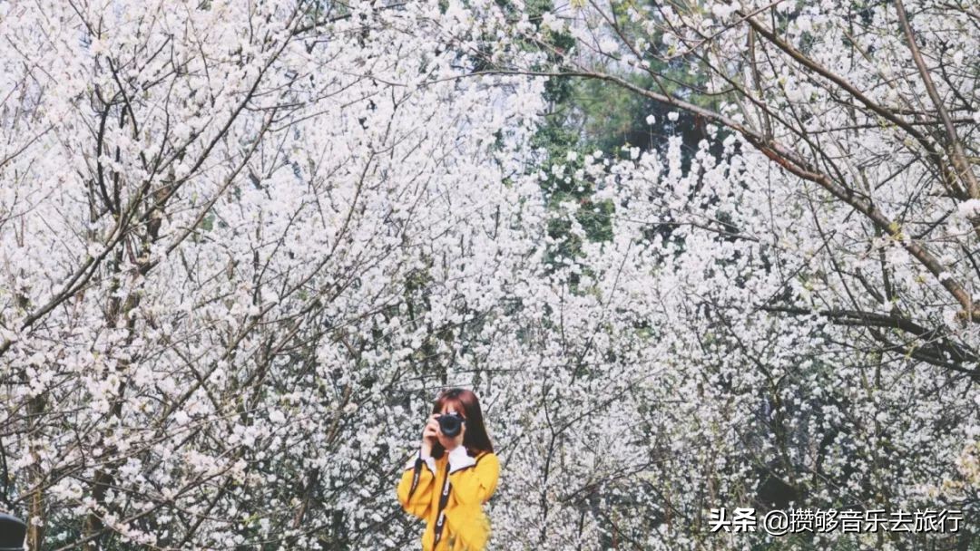 开挂了这座人口仅30万的小城，却连续5年上榜“四川省十强县”