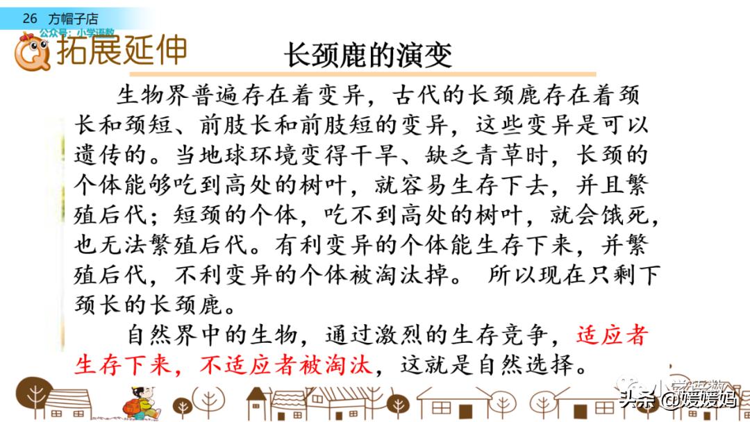 三年级下册语文方帽子讲解,三年级下册方帽子店是什么意思