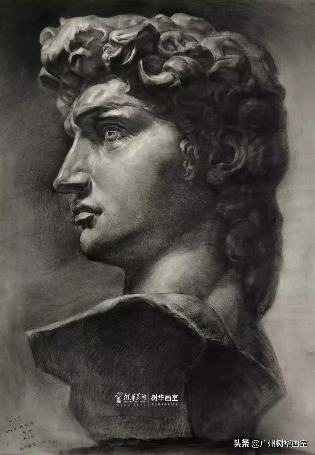石膏头像大卫素描教程步骤,素描石膏鼻子的步骤入门