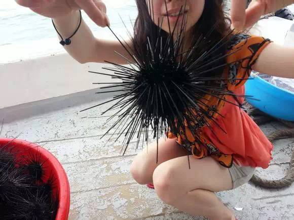 史上最全面的海鲜大咖,史上最全海鲜视频