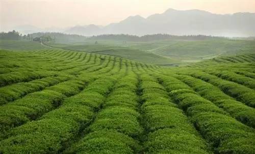 贵州旅游攻略超详细,贵州自驾游攻略推荐7到10天