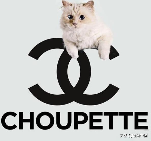 买不起香奈儿包包还可以买什么,买不起系列香奈儿