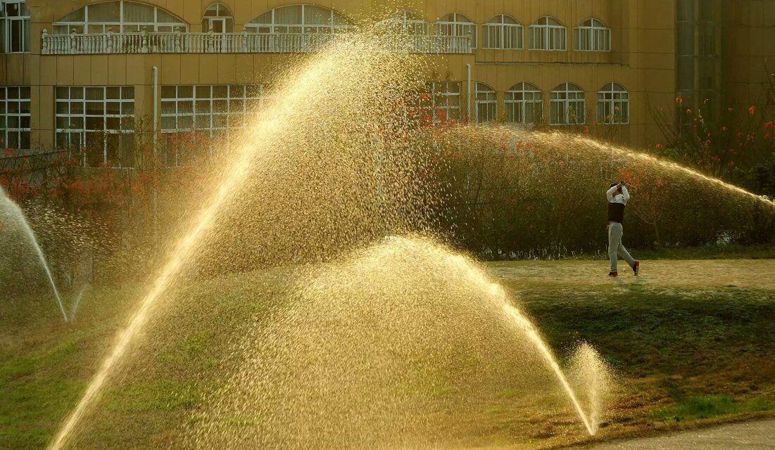 高尔夫冷门专业,高尔夫学院热门专业