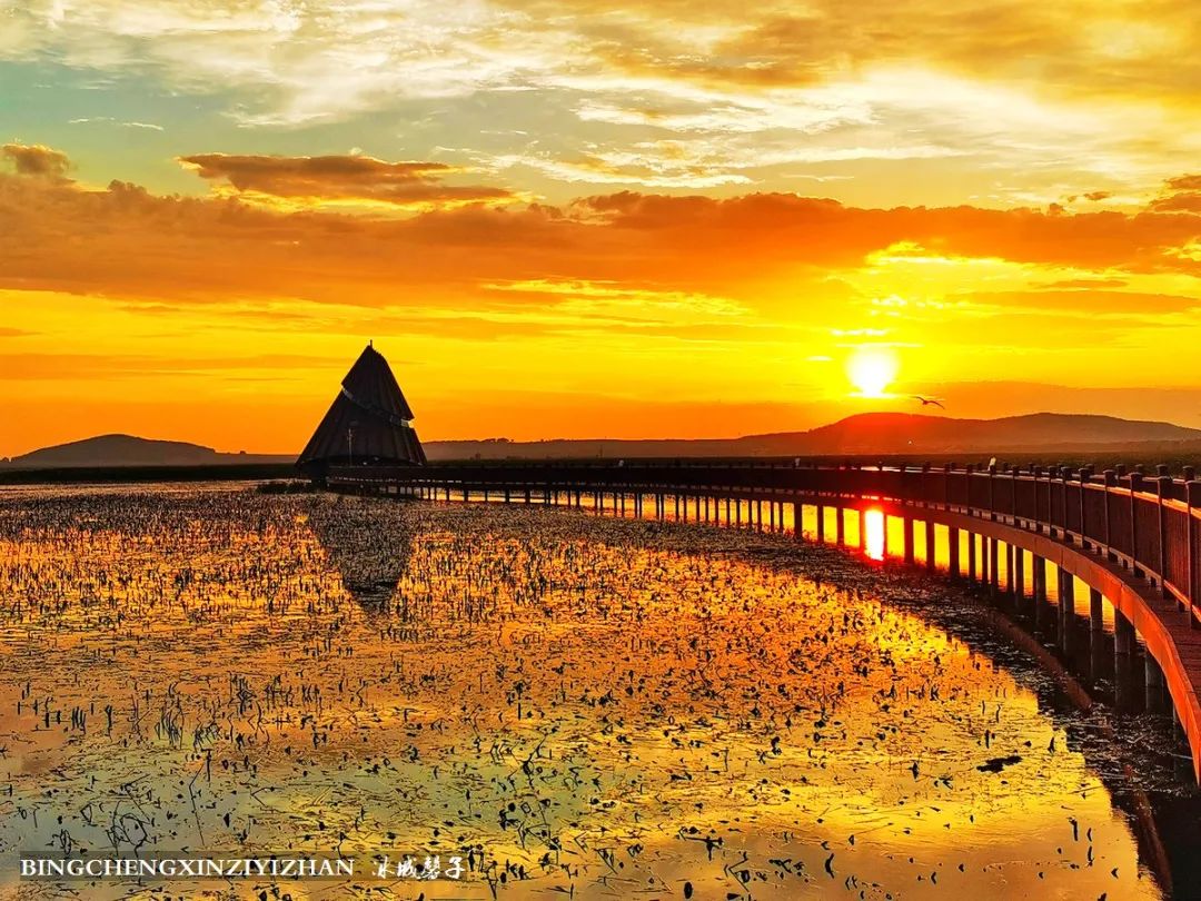 再返富锦，为着那份飘着稻花香的“湿”意约定