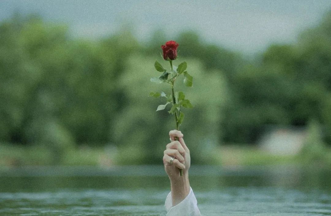 阿里员工自曝被性侵，他们说“酒局而已，搂抱正常”