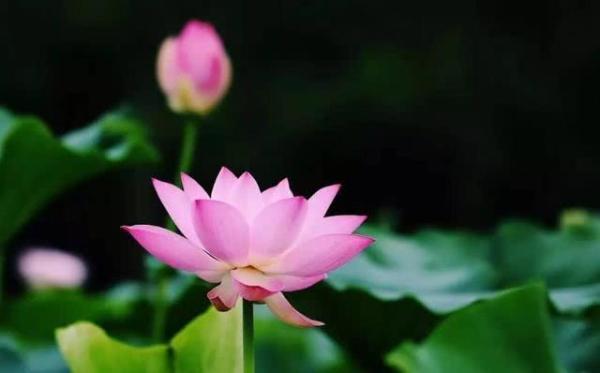 人生三种好福气,一个人的福气由啥决定