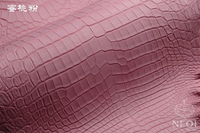 鳄鱼皮包包知识,鳄鱼怎么挑选