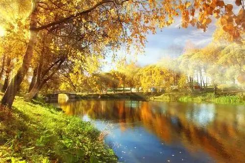 郎酒再闯IPO硬伤几何？淘汰赛考验汪俊林要填多少坑