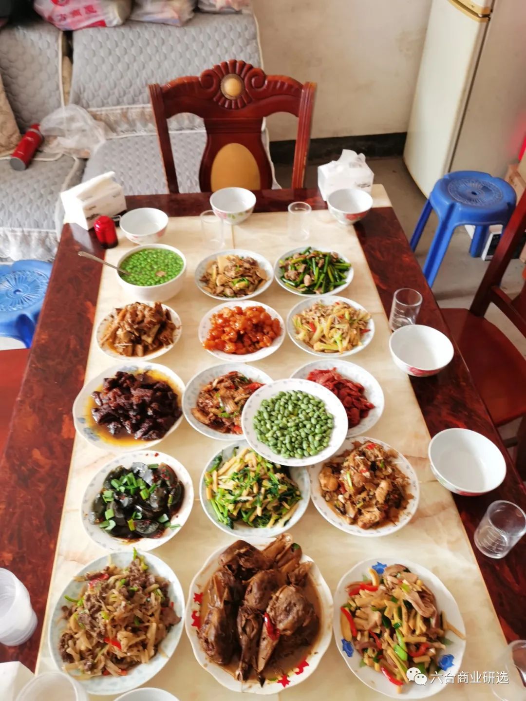 2021回乡见闻录全部视频,2023返乡见闻