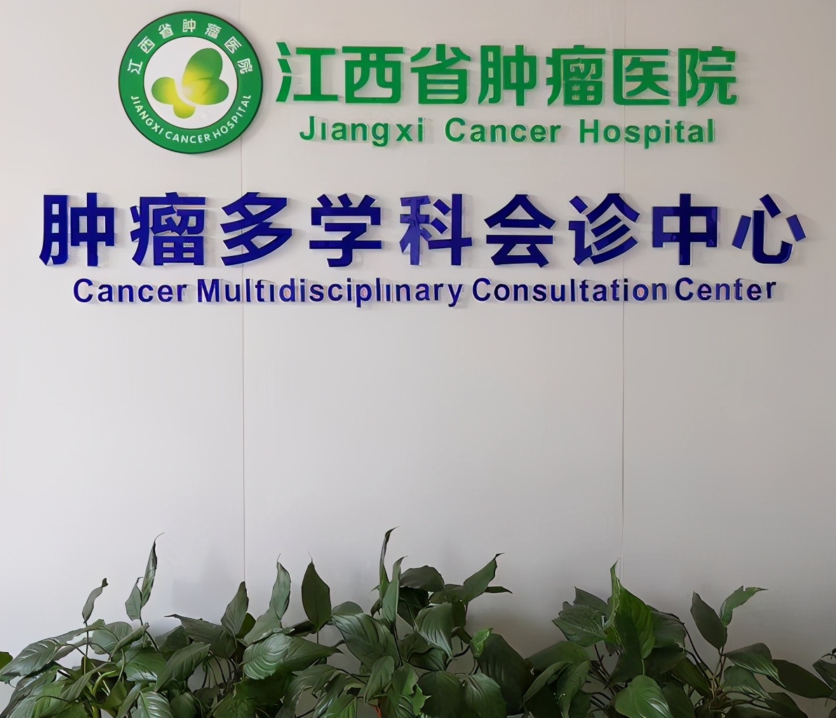 为什么？乳腺肿瘤患者需要MDT诊治