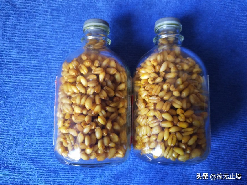 卡麦子过时了吗？解析小矶杆长子线的实际运用