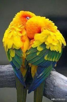 今天2.1，2月第1天，谁编的，太好笑了，给群里乐一乐~