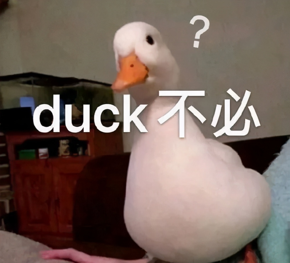 留学生过海关不能带什么,留学生回国海关行李怎么办