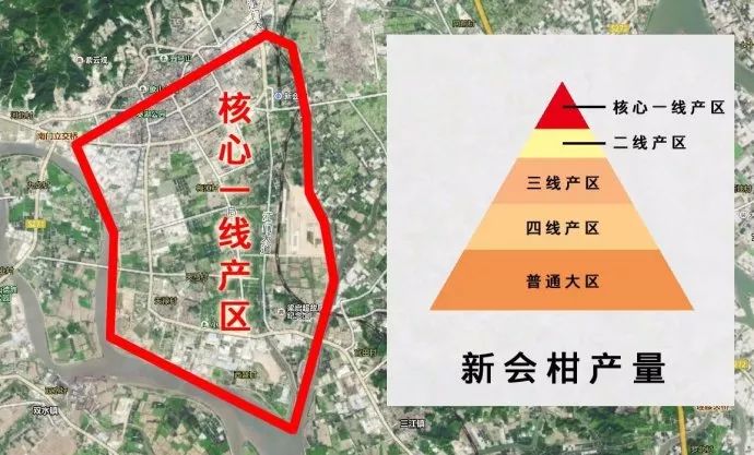 打卡茶产地｜收陈皮时节到啦！这有你想get的重点