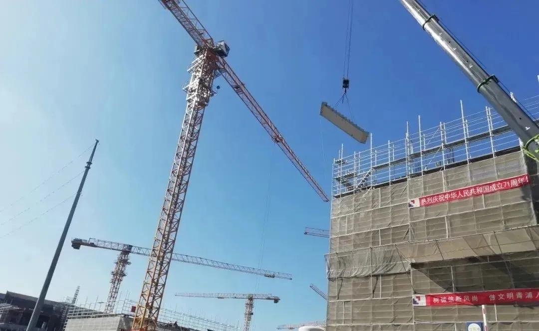 青浦兰生学校和复旦附中青浦分校,上海青浦兰生复旦分校选址