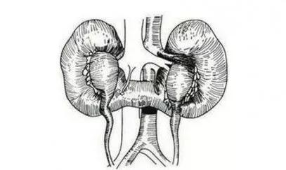 祸不单行因祸得福案例,祸不单行因祸得福的视频