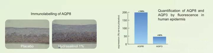 娇韵诗双萃精华熬夜精华,娇韵诗双萃精华效果前后对比图片