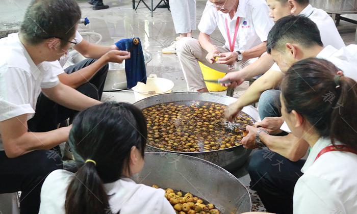 贵州野果可酿酒,农村野果酿酒设备