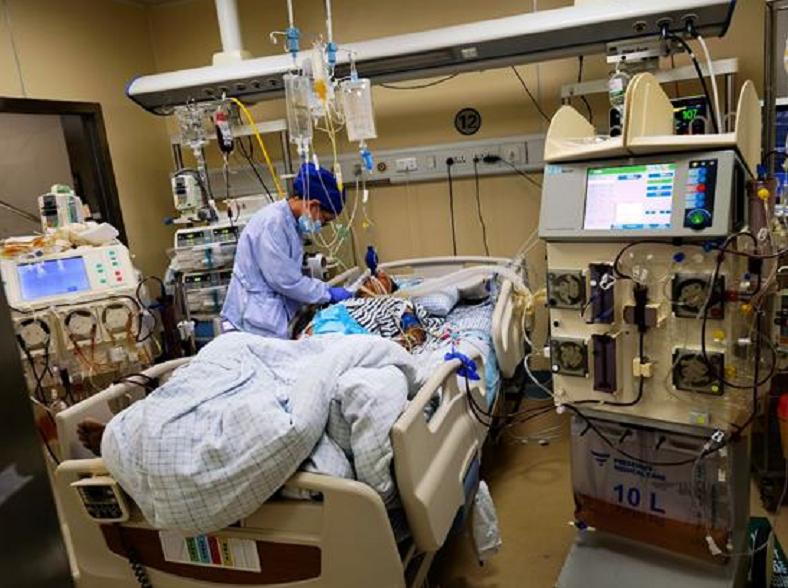 马蜂窝被打掉后马蜂会攻击人吗,马蜂窝被捅怎么让马蜂继续存活