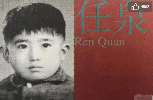 任泉息影是哪年,任泉在娱乐圈里的地位