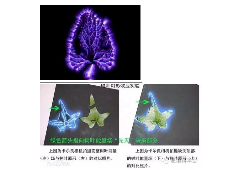 脉轮辉光拍摄,脉轮有科学依据吗