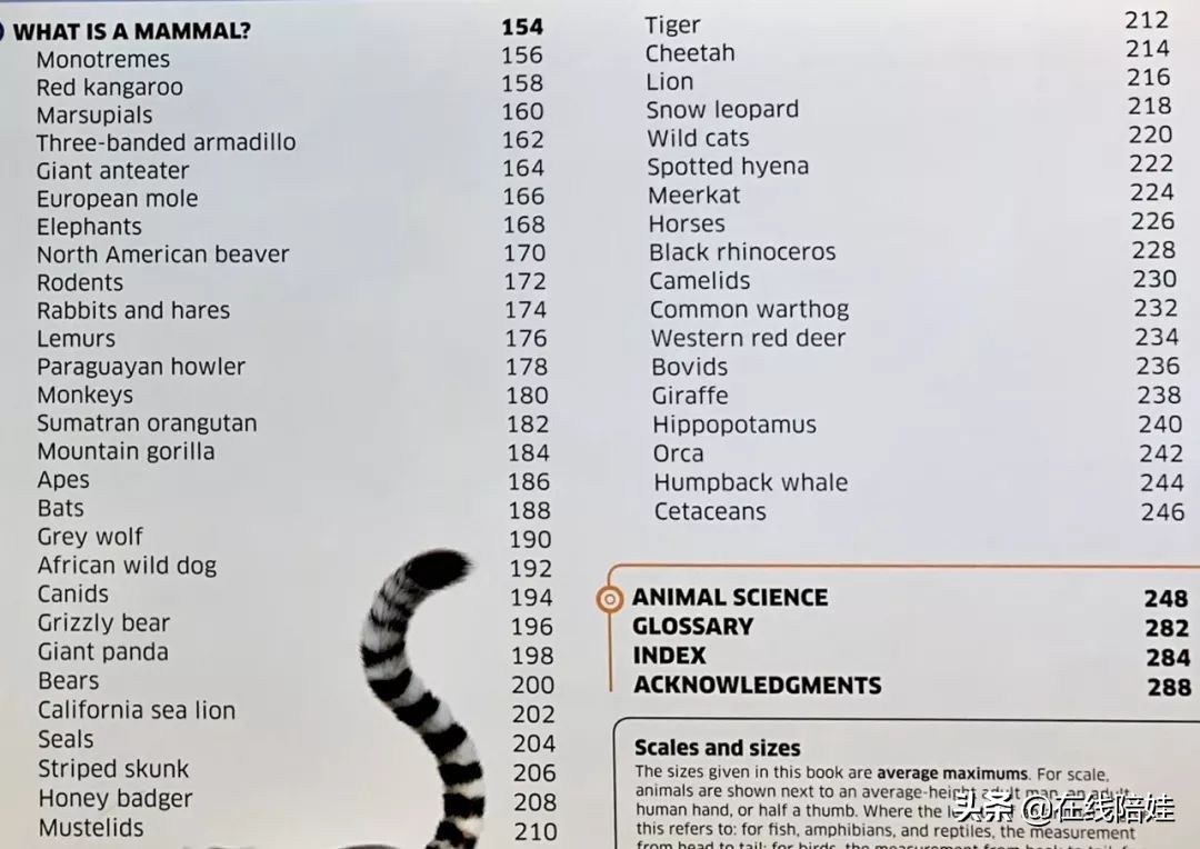 dk知识大百科全套,dk知识大百科书金银版