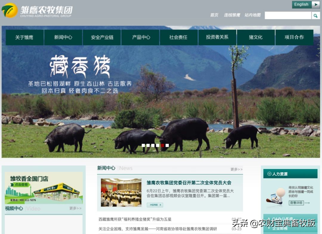 雏鹰农牧恢复上市,雏鹰农牧破产